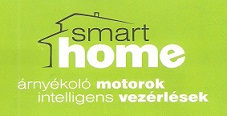 Smart home logo